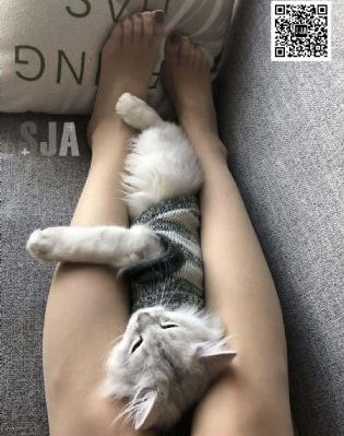日本奶白小受娇喘GV_国产剧免费电视剧